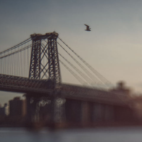 Print New York Nr. 154