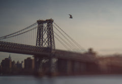 Print New York Nr. 154